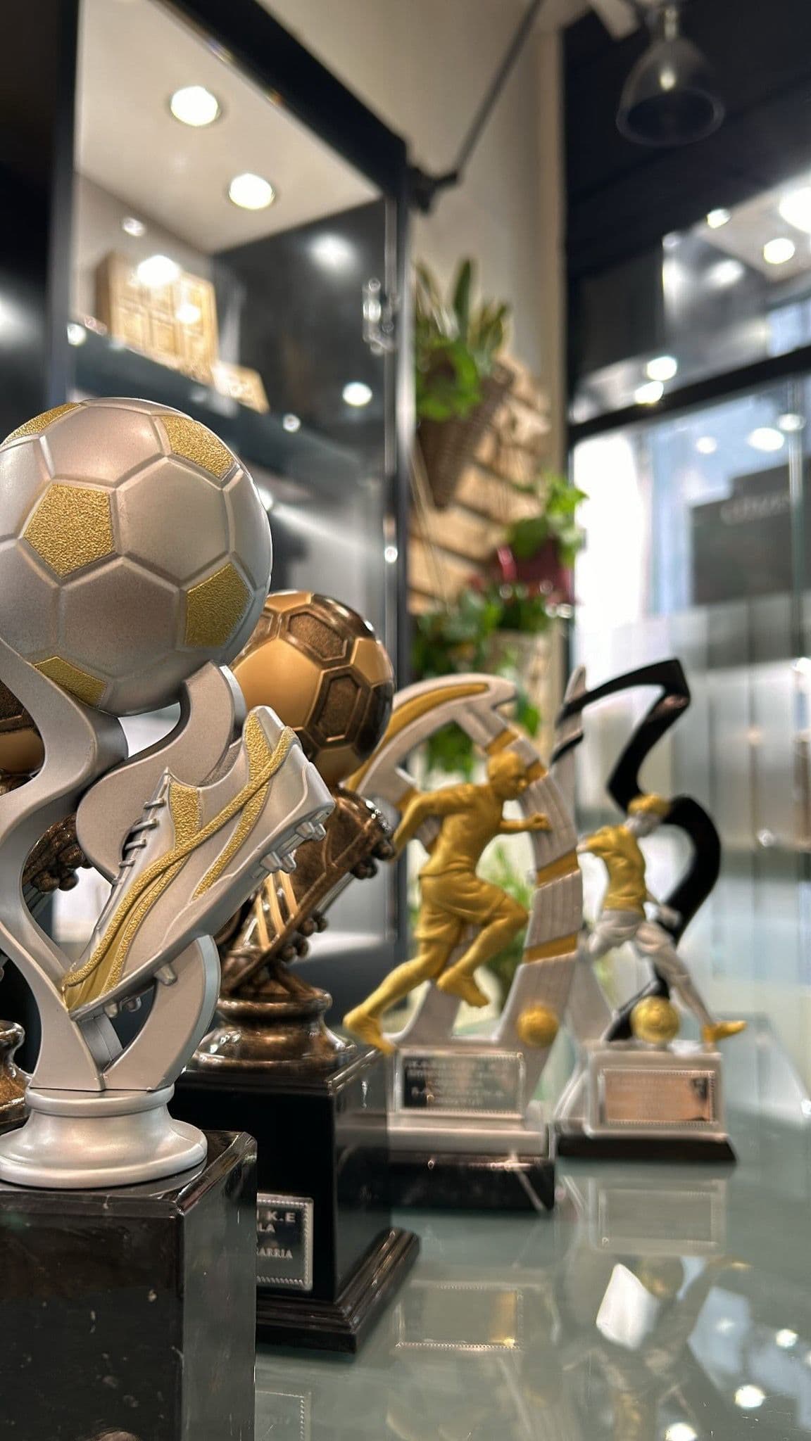 Trofeoak eta sariak · Disdira Bitxitegia 1